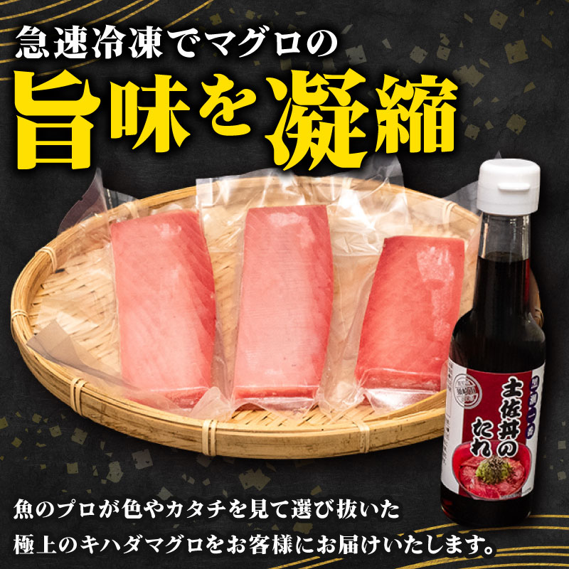 キハダマグロ 赤身 1kg 土佐丼 たれ セット
