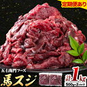 【ふるさと納税】馬肉 馬スジ 500g × 2パック 1kg 選べる 定期回数 五右衛門フーズ 《60日以内に出荷予定(土日祝除く)》 熊本県 球磨郡 山江村 馬肉 肉 国産 スジ カレー 煮込み おでん おかず 送料無料