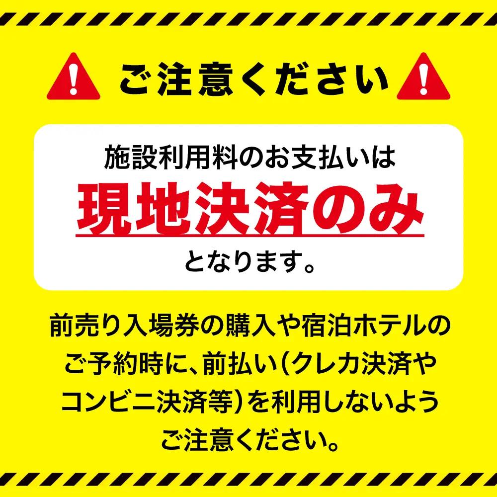スパリゾートハワイアンズ　 施設利用券3,000円分（3,000円分×1枚）プラン別利用券（おひとりさま向け） | 利用チケット 入場券 宿泊代 ホテルハワイアンズ モノリスタワー ウイルポート フラ
