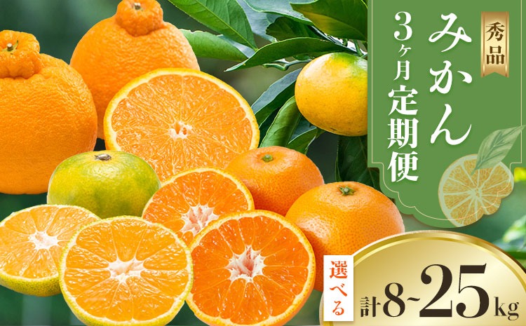 秀品 みかん 3ヶ月 定期便 選べる 内容量 日本フルーツ株式会社《2025年10月上旬-12月末頃出荷》熊本県 長洲町  早生みかん 温州みかん 不知火 果物 フルーツ スイーツ デザート ギフト ご贈答---sn_nfuktei_24000_mini_aug3---