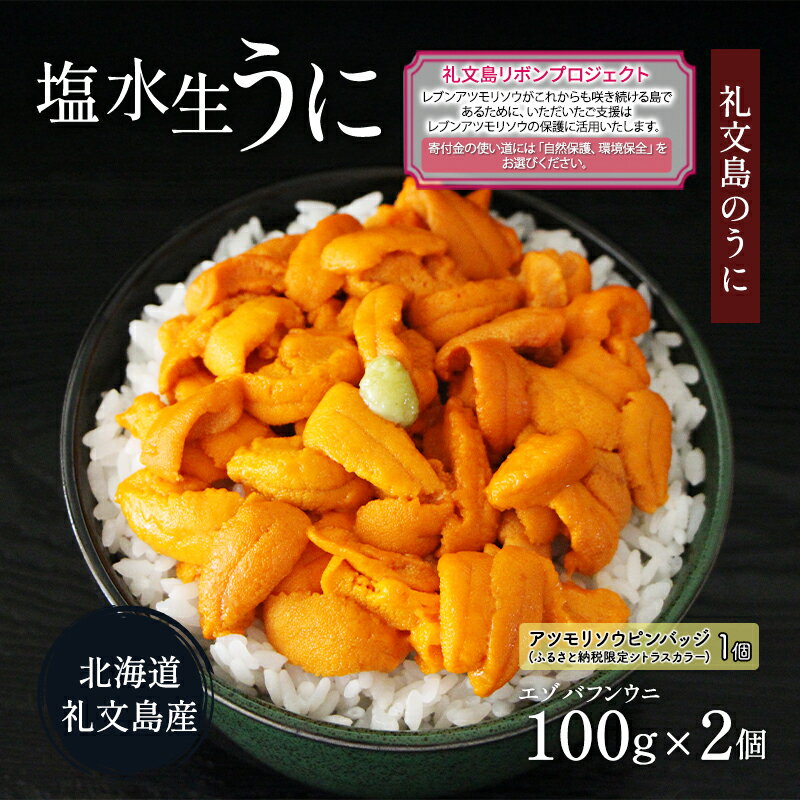 【ふるさと納税】【礼文島リボンプロジェクト】北海道 礼文島産 塩水ウニ （ エゾバフンウニ ）100g×2 生うに うに 雲丹 魚貝類 海の幸 海鮮 　お届け：2026年6月上旬～8月下旬まで