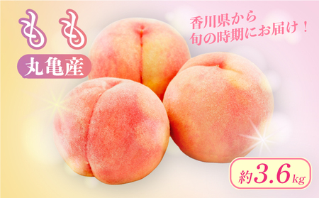 【2026年6月下旬から順次発送】 桃 約3.6kg (1.8kg箱×2) 香川県 丸亀市