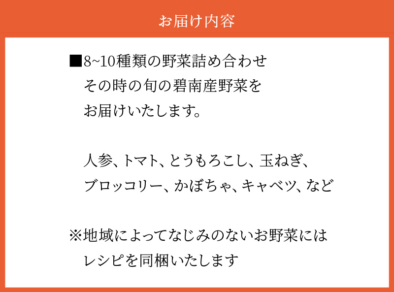 目利きのプロ 八百屋厳選 野菜詰め合わせセット（8～10種類お届け）　H151-010