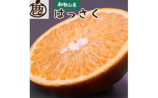 ＜先行予約＞厳選はっさく5kg+250g（傷み補償分）【八朔みかん】＜1月より発送＞※北海道・沖縄・離島への配送不可【ikd221】