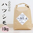 【ふるさと納税】≪令和6年産≫ 新米 岐阜県産ハツシモ10kg（5kg×2）