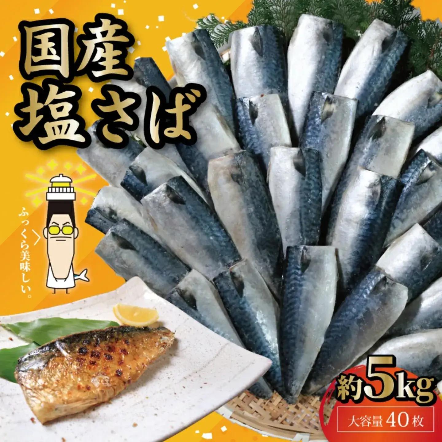 国産 塩鯖 40枚 鯖