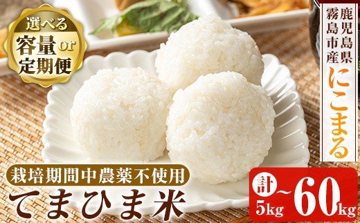 
            K-198 ＜容量・定期便が選べる＞ 令和7年産 てまひま米(品種:にこまる)(計5kg・計10kg・計20kg・3回定期便・6回定期便・12回定期便)【末蜜農園】霧島市 お米 精米 白米 米 こめ コメ ご飯 ごはん 定期便 栽培期間中農薬不使用
          