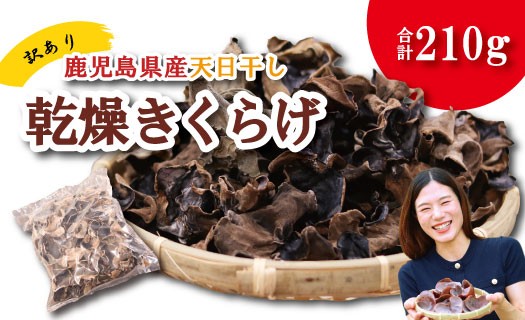 鹿児島県産天日干し乾燥きくらげ