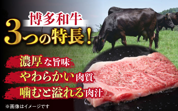 【全6回定期便】【溢れる肉汁と濃厚な旨味】博多和牛サーロイン1kg（250g×4枚）《築上町》【株式会社MEAT PLUS】 [ABBP052]