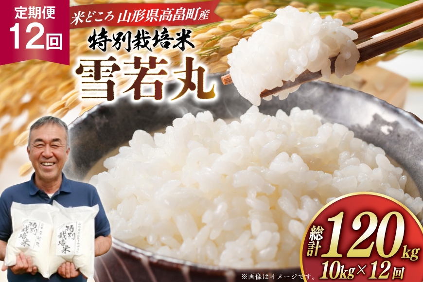 
                  米 定期便 12回 令和8年産 特別栽培米 雪若丸 10kg 12回 計120kg [渡部ファーム 山形県 高畠町 tk06ays810060] ふるさと納税 お米 おこめ こめ コメ 白米 精米 ごはん ご飯 ブランド米
                