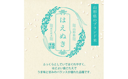 令和7年産 はえぬき 5kg×2 計10kg 精米 【最上ノ米蔵】 山形県産 こめ お米 米 白米 F3S-2802