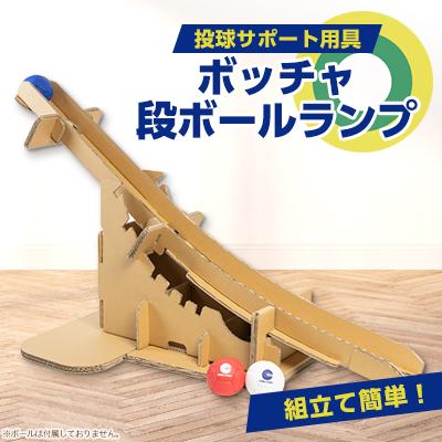 ふるさと納税 入間市 ボッチャ 段ボールランプ