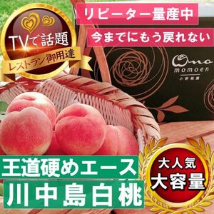 【王道硬めのエース川中島白桃】桃グランプリ銅賞＆4年連続TV出演話題ブランド2025年8月上旬発送【配送不可地域：離島・北海道・沖縄県・中国・四国・九州】【1465326】