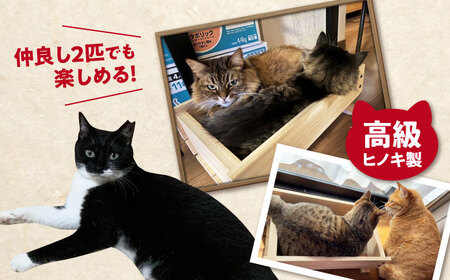 ねこプランター ワイドサイズ・高級ヒノキ製ペット用プランター型ベット 亀山市/中川木材株式会社[AMAI001]