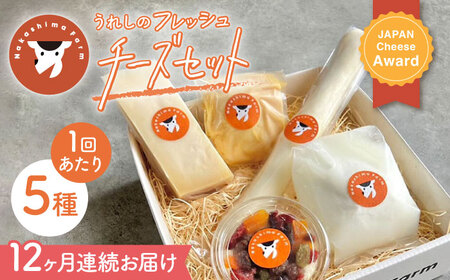 【12回定期便】フレッシュチーズ5種[NAJ103]チーズチーズチーズチーズチーズチーズ