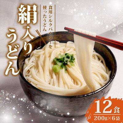 【ふるさと納税】絹入りうどん 約12食 (200g×6袋セット) シルクパウダー入りの人気乾麺うどん【1589240】