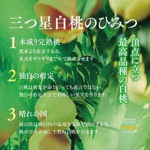 【清水白桃】岡山県産 三つ星 星乃桃園 1.2kg (4～5玉)【配送不可地域：離島】【1614283】