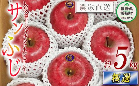 りんご サンふじ 極選 5kg やまじゅうファーム 沖縄県への配送不可 2025年12月上旬頃から2025年12月下旬頃まで順次発送予定 令和7年度収穫分 信州の環境にやさしい農産物 減農薬栽培 長野県 飯綱町 [0537]