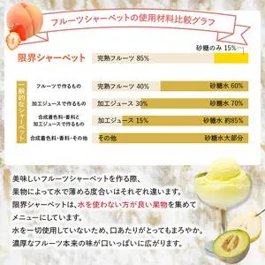 限界シャーベット 6個セット J06018