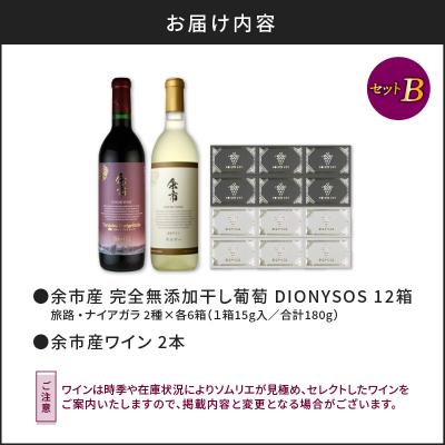 ふるさと納税 余市町 【ギフトボックス】余市産完全無添加干し葡萄と余市産セレクトワインのセット 〜B〜_Y050-0026 |  | 03