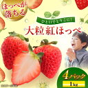 【ふるさと納税】【先行予約】【2025年1月初旬より順次発送】いちご 大粒 紅ほっぺ 1kg（約270g×4パック） \レビューキャンペーン中/愛媛県大洲市/沢井青果[AGBN026] いちご 冷凍 イチゴ 苺 フルーツ 果物 くだもの ふるーつ 12000円 12000