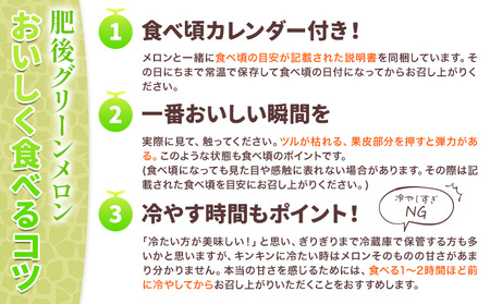 肥後グリーン メロン 2玉 約3.2kg 七城町特産品センター熊本県 菊池市 メロン 果物 フルーツ 九州産 熊本県産 めろん グリーンメロン