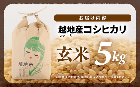 【令和6年 新米】越地 (こいち) 産 コシヒカリ (玄米) 計5kg [m24-a007]
