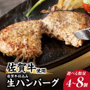 【ふるさと納税】【数量選べる】佐賀牛仕込みハンバーグ 4個 or 8個 ／ 120g×4個 120g×8個 佐賀牛 ハンバーグ 味付き 黒毛和牛 牛肉 豚肉 肉 弁当 おかず 惣菜 簡単 調理 お手軽 時短 焼くだけ 小分け 国産 佐賀県 玄海町 冷凍 人気 おすすめ 送料無料