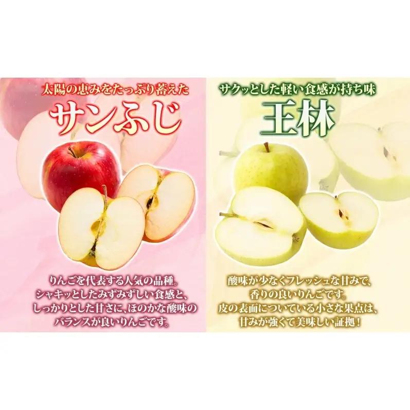 りんご詰合せ サンふじ王林青森県産家庭用 りんご詰合せ【約10kg】【11月発送】