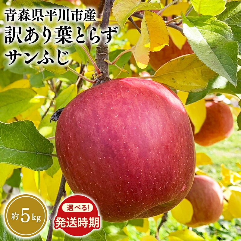 【ふるさと納税】 ≪発送時期が選べる≫ 訳あり 葉取らず サンふじ 約5kg 年明け発送 または 年内発送 【青森県 平川市 なるみ農園】 家庭用 訳アリ 青森 青森県産 平川 りんご リンゴ 林檎 くだもの 果物 フルーツ