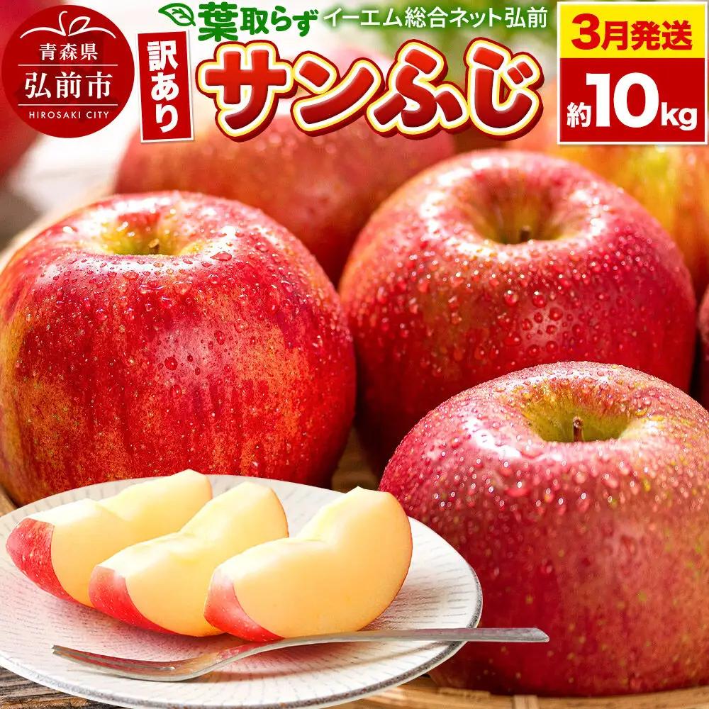 りんご 葉取らず サンふじ 訳あり 約10kg【3月クール便発送】りんご