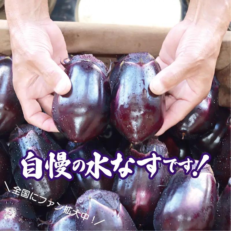 【お中元対応】泉州 泉佐野市産 ハウス水なす 6個