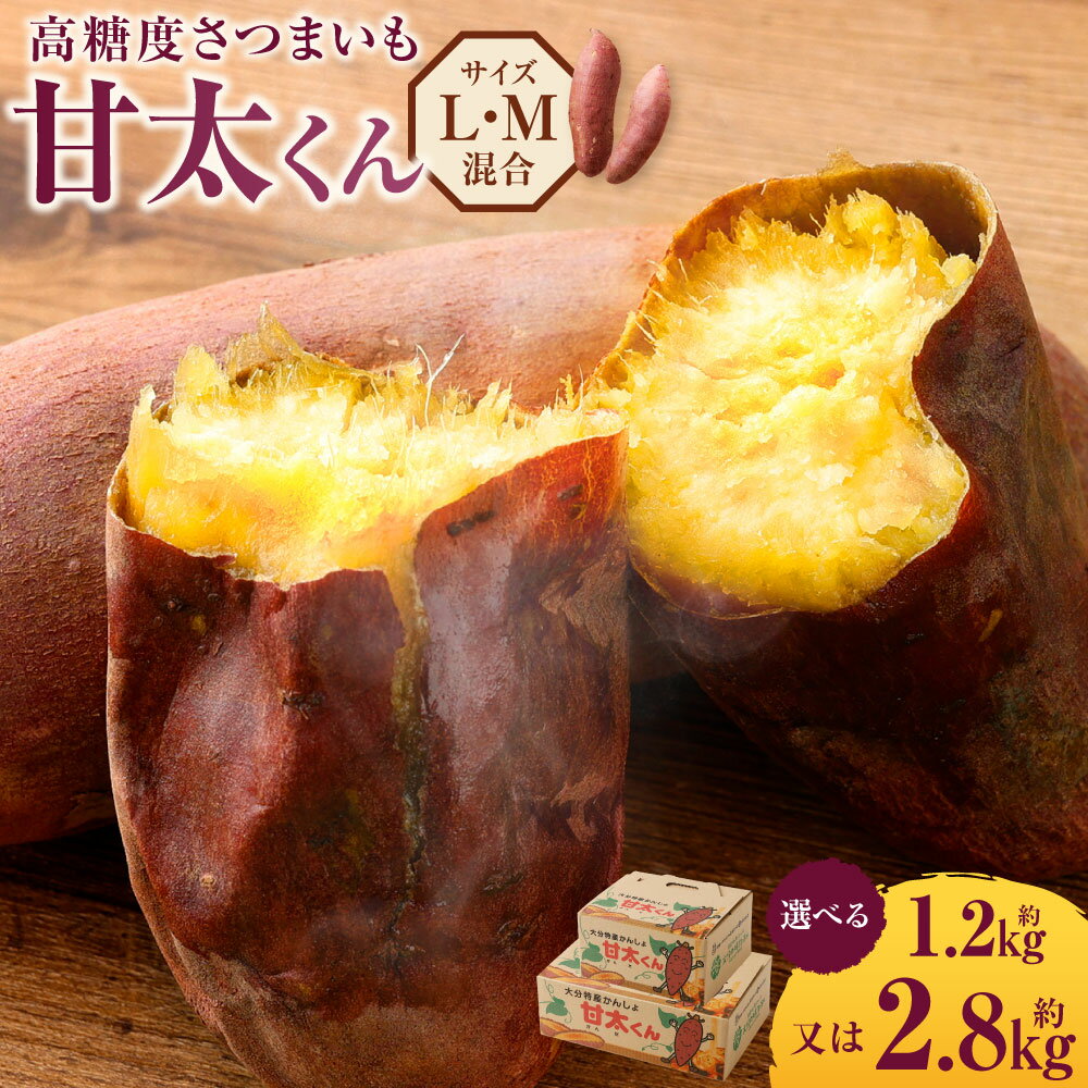【ふるさと納税】高糖度さつまいも 甘太くん ＜選べる＞ 約1.2kg 約2.8kg Lサイズ Mサイズ さつまいも べにはるか 紅はるか 芋 薩摩芋 甘藷 野菜 焼きいも おやつ 国産 大分県 豊後大野市 送料無料【2025年11月下旬から2026年4月下旬発送予定】