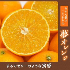 【紅まどんなと同品種】【訳あり】 夢おれんじ まどんな 3kg 夢オレンジ みかん職人武田屋 愛媛県 愛南町