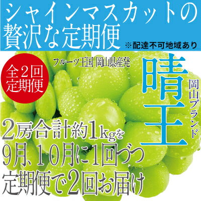 【ふるさと納税】ぶどう 2026年 先行予約 【2回定期便】 シャイン マスカット 晴王 2房（合計約1kg） ブドウ 葡萄 岡山県産 国産 フルーツ 果物 ギフト デザート 食後 酸味が少ない 9月・10月にお届け ハレノフルーツ　お届け：2026年9月中旬〜2026年10月下旬