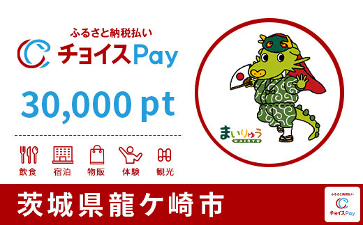 
龍ケ崎市チョイスPay 30,000pt（1pt＝1円）【会員限定のお礼の品】
