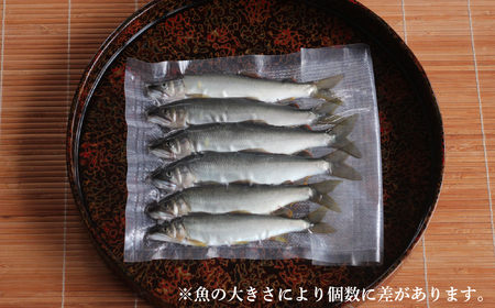 天然鮎(友釣り) 北関東の清流「那珂川産」 500g 真空冷凍 | 鮎 鮎 鮎 鮎 鮎