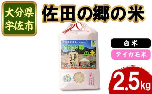 
            ＜新米・令和6年産＞佐田の郷の米 アイガモ米(2.5kg)お米 白米 ごはん ブランド米 常温 常温保存【111700401】【雅設置プロジェクト　佐田の郷の会】
          