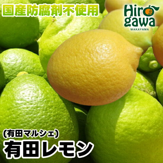 【ふるさと納税】【先行予約】 国産 紀州 和歌山 有田 レモン ※2025年9月下旬～2026年3月下旬に順次発送 ※北海道・沖縄・その他離島地域は発送不可 / 檸檬 くだもの 果実 柑橘 果物 フルーツ 国産 和歌山県 有田 //lemon