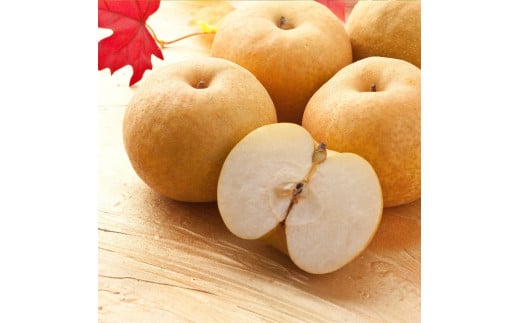 【'26先行予約】 新興梨（しんこうなし） 5kg　[211-W11]