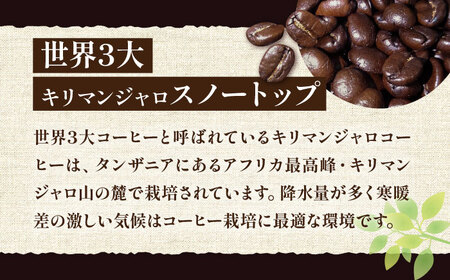 キリマンジャロ コーヒー 2種 ( 浅煎り フルーツフレーバー ＆ 中煎り チョコレートフレーバー )《豊前市》【稲垣珈琲】珈琲 コーヒー 豆 粉　　　　　[VAS121] コーヒー コーヒー飲料 コ