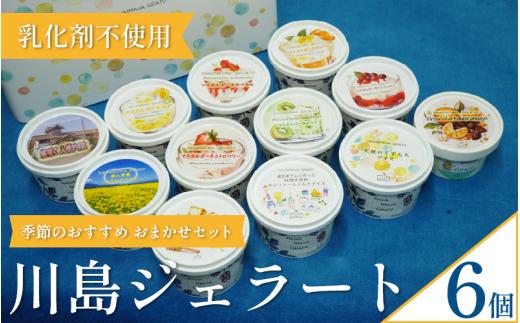 ジェラート  詰め合わせ おまかせ 6個 セット 120ml 川島ジェラート アイスクリーム アイス シャーベット デザート スイーツ お菓子 洋菓子 おやつ くずもち キシリトール ひまわり 桜 入学 ブルーチーズ くるみ ギフト プレゼント 贈答 お取り寄せ グルメ 季節限定 冷凍 徳島県 吉野川市 A sweets factory