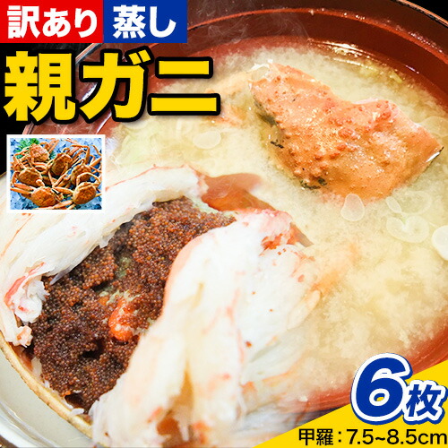 【蒸し】訳あり 足折れ 日本海産 親ガニ セコガニ 6枚(甲羅のサイズ7.5～8.5cm) 高間商店《2026年11月中旬-2027年1月中旬頃出荷》鳥取県 八頭町 送料無料 カニ 蟹 かに 訳あり 足折れ 鍋 珍味 ズワイガニ
