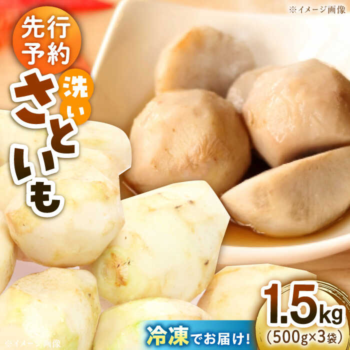 【ふるさと納税】 洗い 里芋 1.5kg （500g×3袋） | 人気 おすすめ ランキング おいしい 野菜 いも おでん サトイモ 大容量 新鮮 お取り寄せ ギフト 大洲市/沢井青果有限会社[AGBN039] 10000 10000円 以上