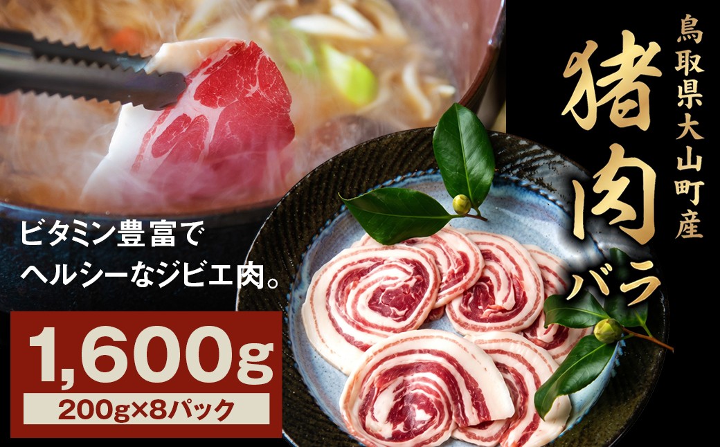 
                  GB-08　猪肉バラ 1.6kg
                