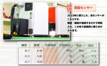 訳あり ご家庭用 農家直送 有田みかん 10kg サイズ混合 光センサー選別 ＜※11月中旬～翌年1月中旬に順次発送予定＞ ※北海道・沖縄・離島への配送不可 / 温州みかん みかん 訳あり わけあり 