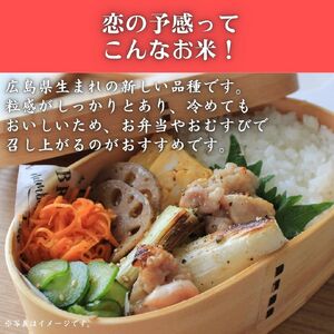 東広島市産米　恋の予感　無洗米　10kg