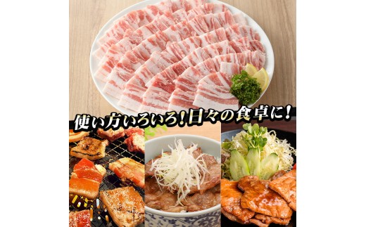 3か月定期便 さつま香潤豚 バラ焼き材用（生姜焼き・豚丼・焼肉）【01-110-20-TK】