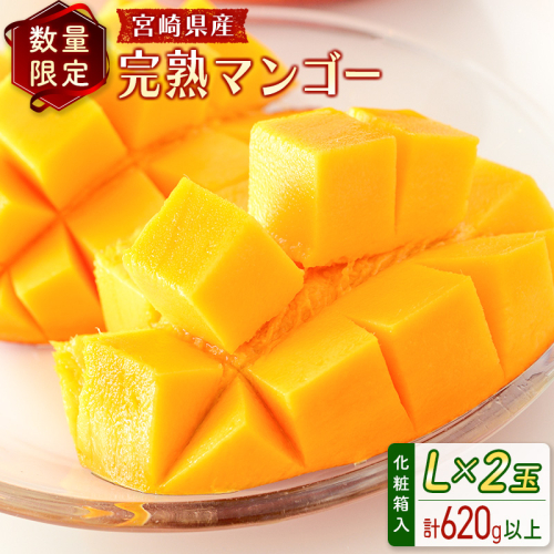 ＜数量限定＞宮崎県産 完熟マンゴーL×2玉（計620g以上）※2027年4月下旬配送開始 化粧箱入 フルーツ くだもの【B544-27】