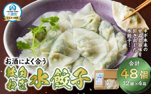 
            【食感と昆布だしにこだわり】 お酒によく合う軟白ねぎ水餃子48個(12個×4箱)【 餃子 ぎょうざ ネギ餃子 水餃子 冷凍餃子 40個 加工品 冷凍 おつまみ つまみ 食品 グルメ お取り寄せ お取り寄せグルメ 八雲町 北海道 】
          